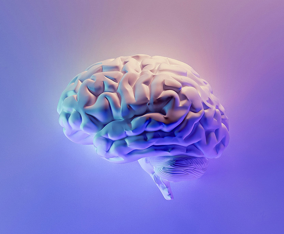 Digital Human Knowledge Engine